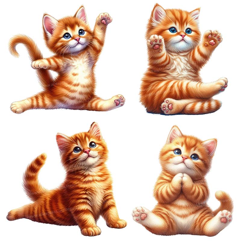 Removível Gato Yoga Adesivo De - Home Office Yoga Room avaliação e preço
