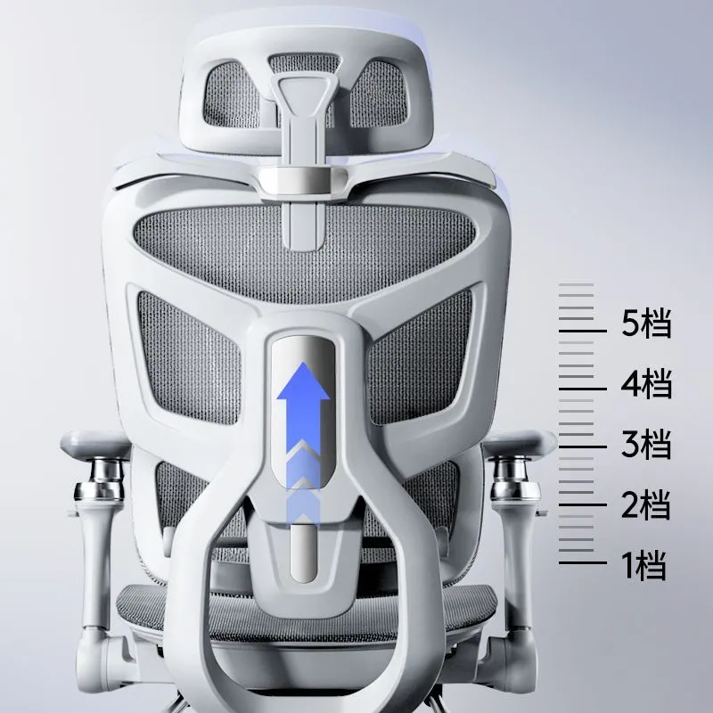 Cadeira Ergonômica para Comput - Home Office Ergonomics avaliação e preço